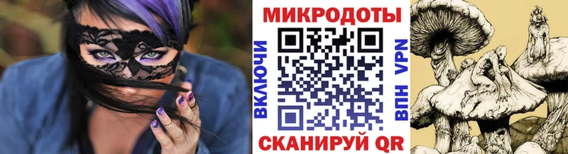 Псилоцибиновые грибы мухоморы  ОМГ ОМГ ONION  Шацк 