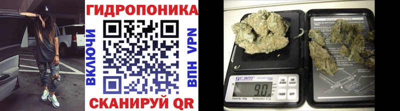 Каннабис LSD WEED  ссылка на мегу ССЫЛКА  Шацк 